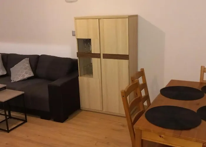 Apartament Juki 2, Obok Katowice Wynajem Na Doby, Krotkoterminowy, 2 Pokoje, Mozliwosc Dodatkowych Dwoch Osob Na Rogowce W Salonie Za Dodatkowa Oplata, 37M2,- Po Kapitalnym Remoncie, Wifi